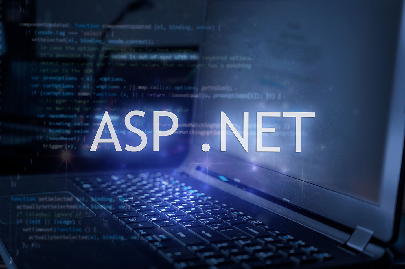 ASP NET Development Services