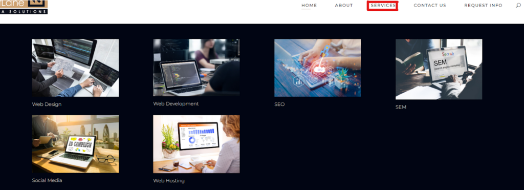 LeftLane Media website