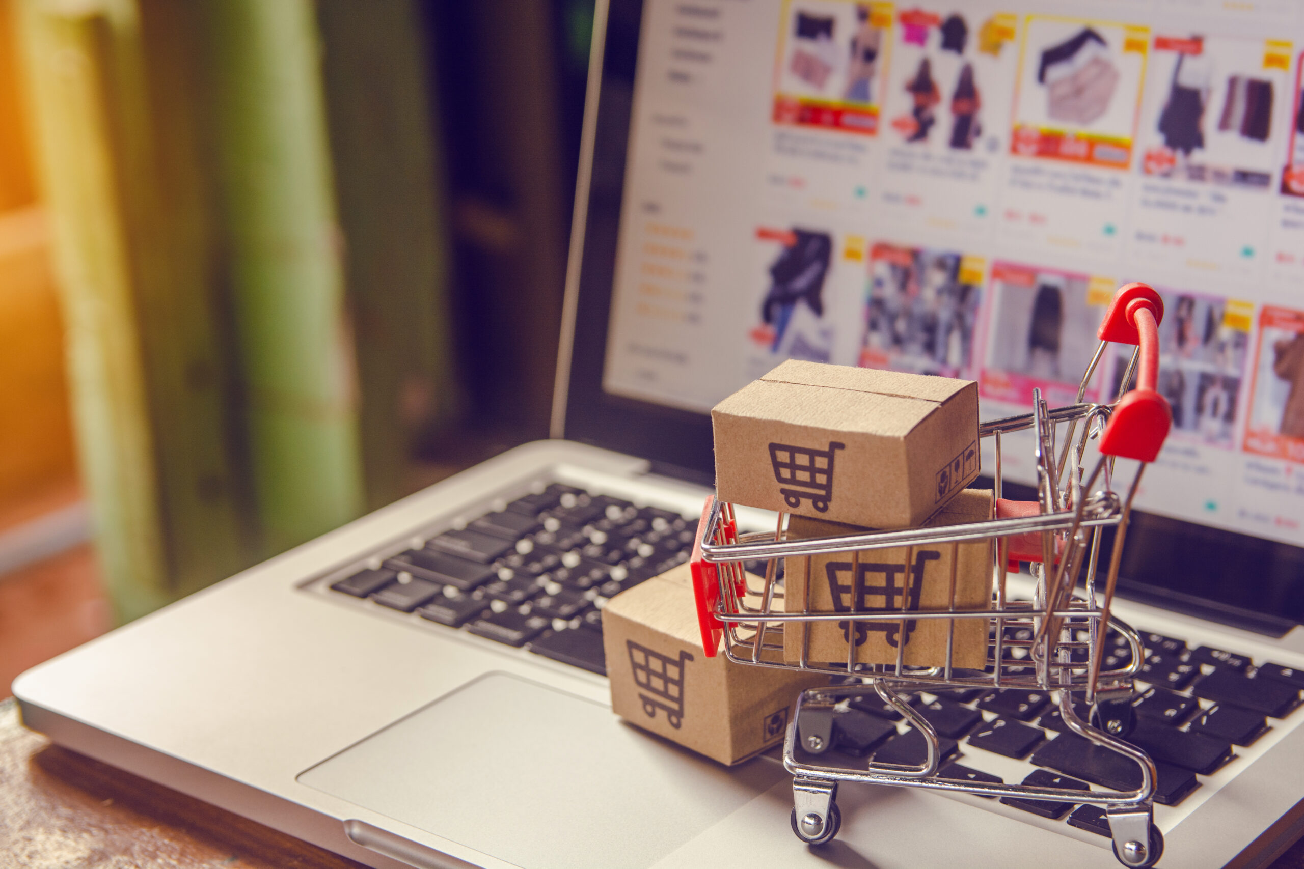 ecommerce website and a shopping cart